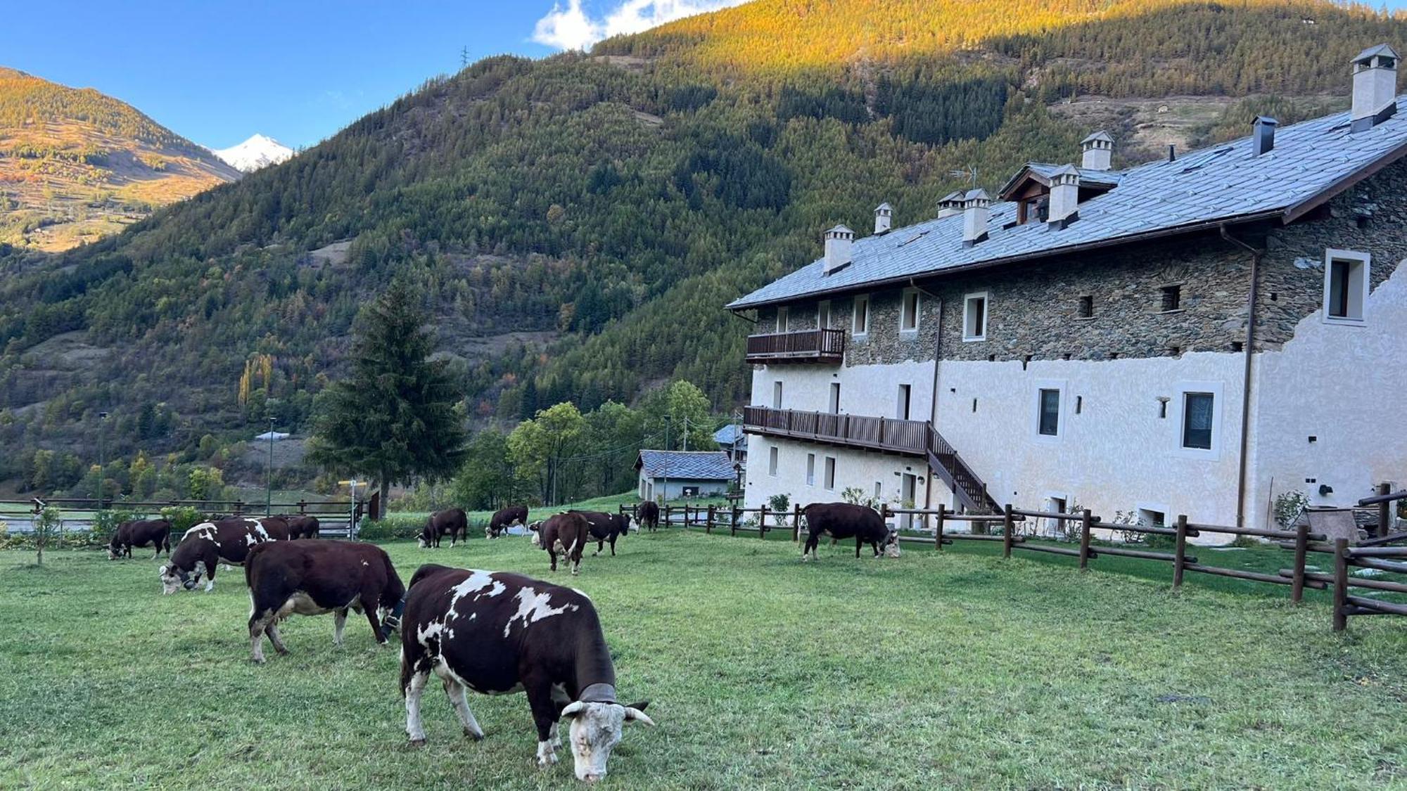 Maison Marcoz - Appartamenti Vacanze Etroubles Exterior foto